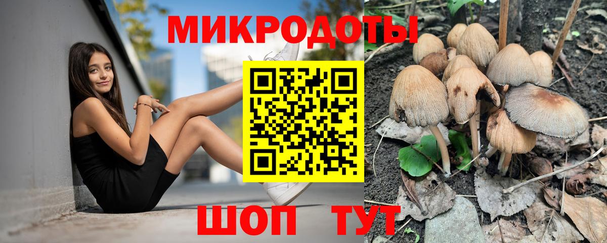 Псилоцибиновые грибы мухоморы Псков