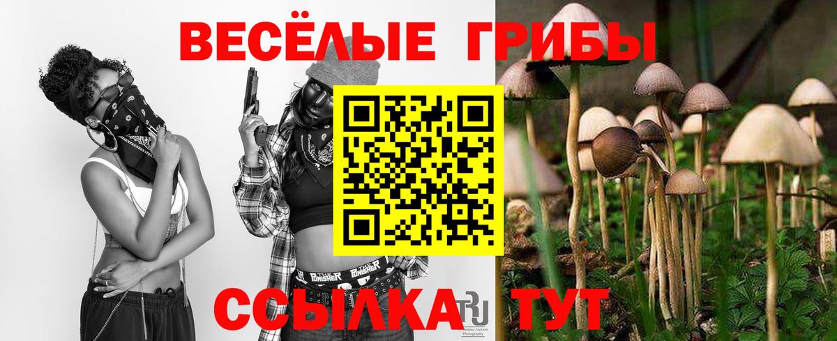 Псков  Псилоцибиновые грибы Psilocybine cubensis  Вход с VPN 
